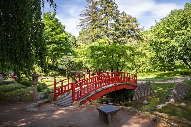 Ponte de madeira vermelha tradicional em um lago de jardim japonês