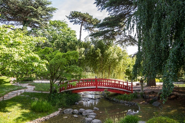 Ponte de madeira vermelha tradicional em um lago de jardim japonês