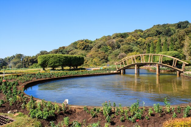 Ponte de madeira