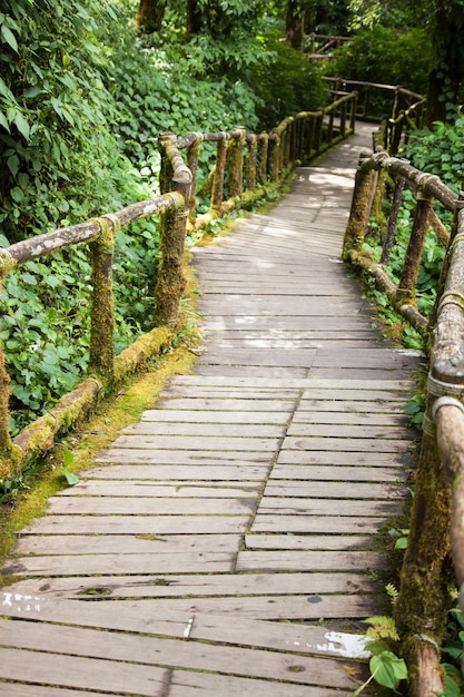 Ponte de madeira