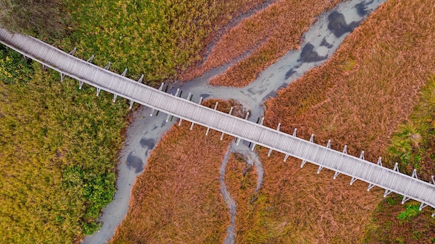 Ponte de pé na reserva natural em cores outonais, vista abstrata de cima para baixo