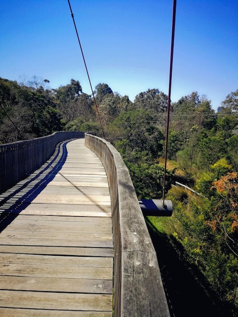 Foto ponte de pedestres em meio a árvores contra o céu limpo