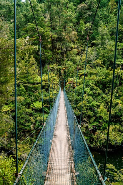 Ponte de pedestres no meio das árvores na floresta