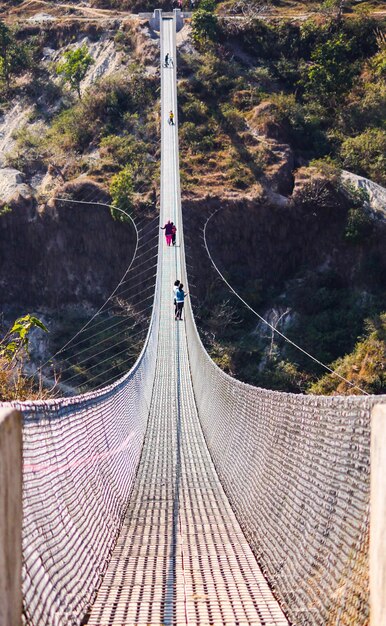 Foto ponte de pedestres no meio das árvores