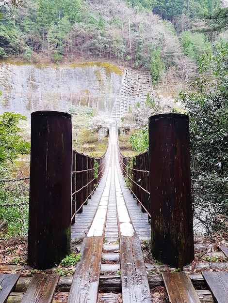 Foto ponte de pedestres no meio das árvores