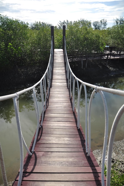 Foto ponte de pedestres vazia ao longo das plantas