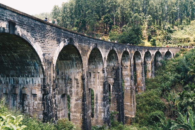 Ponte de trem no sri lanka