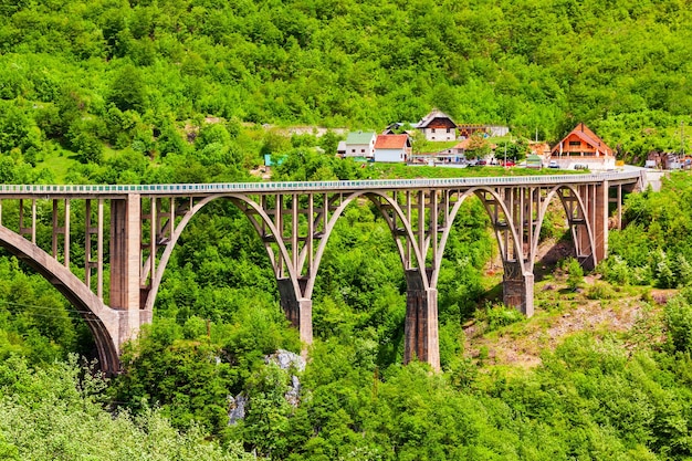 Ponte do rio Tara perto de Zabljak Montenegro