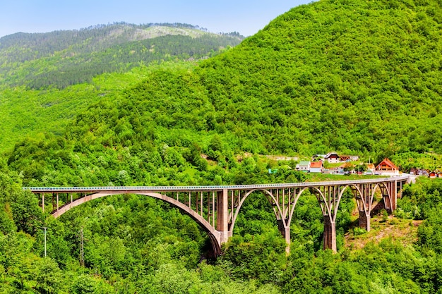 Ponte do rio Tara perto de Zabljak Montenegro