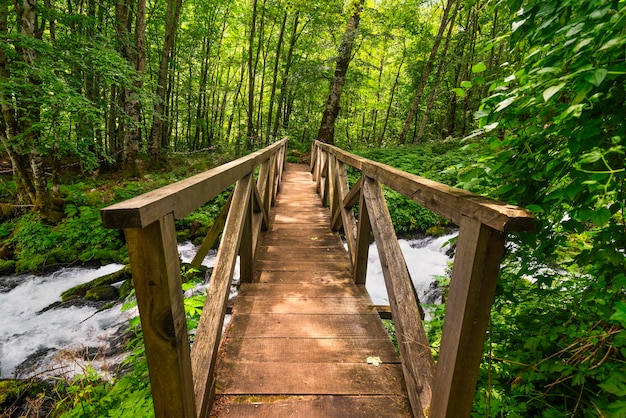 Ponte e rio rápido