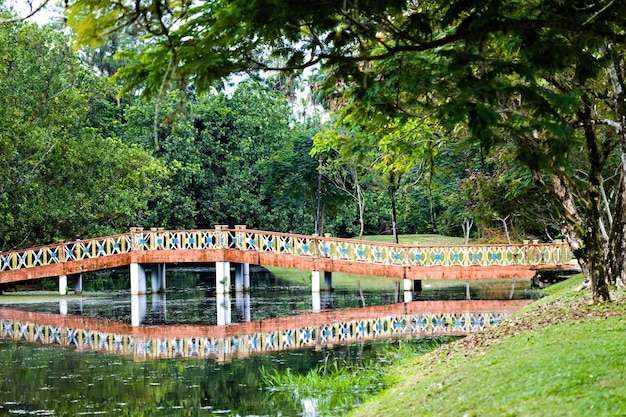 Ponte em Taining Lake Gardens Park, Malásia