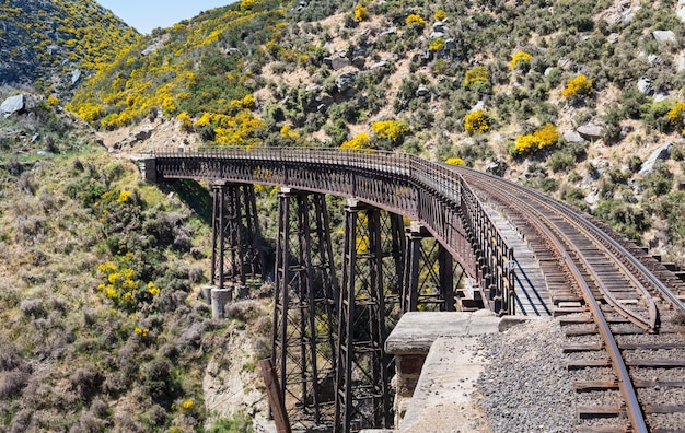 Ponte ferroviária em Taieri Gorge Nova Zelândia