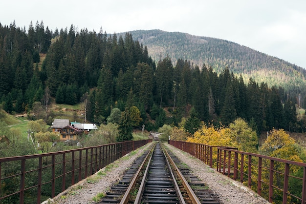 Foto ponte ferroviária sobre um vale nas montanhas, na típica aldeia ucraniana de vorokhta