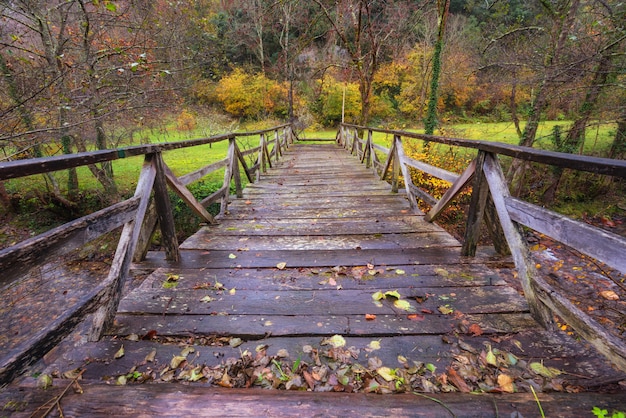 Ponte madeira, sobre, rio, em, Somiedo, natural, parque, asturias, espanha