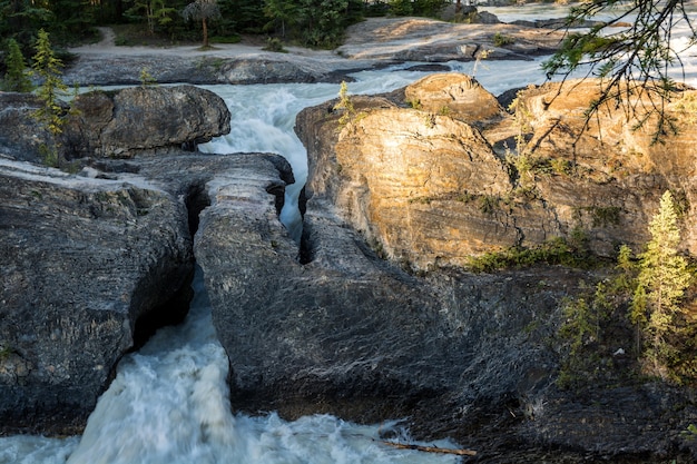 Ponte natural no parque nacional de yoho, bc, canadá