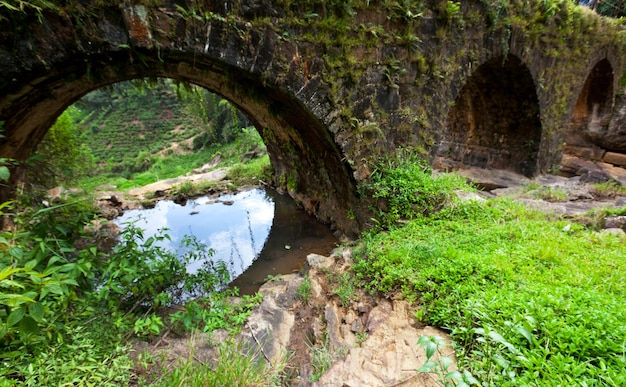 Ponte no Sri Lanka