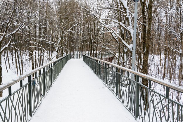 Ponte pedonal coberta de neve sobre uma ravina na floresta de inverno. Muita neve em uma bela estrada em direção à floresta.