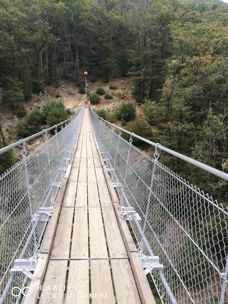 Foto ponte pedonal na floresta