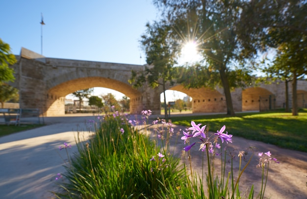 Ponte serrano, em, valença, em, turia, parque, espanha