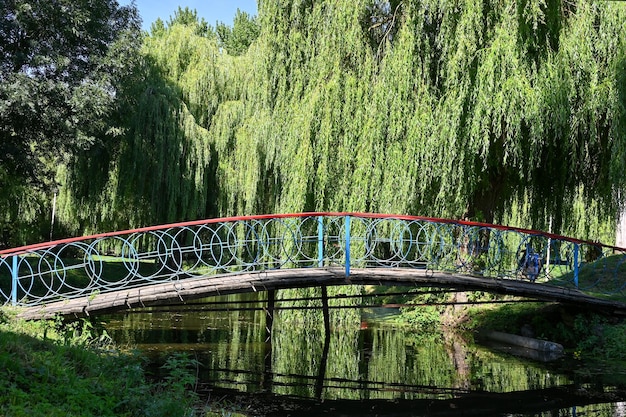 Ponte sobre a lagoa em um lugar pitoresco na cidade de ternopil