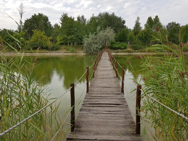 Ponte sobre o lago contra o céu