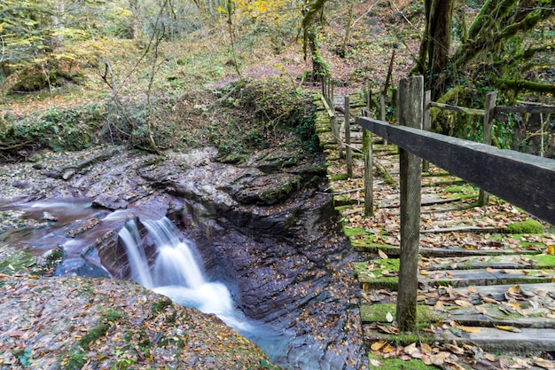 Ponte sobre o rio, caminhadas na floresta de Sochi, na Rússia.