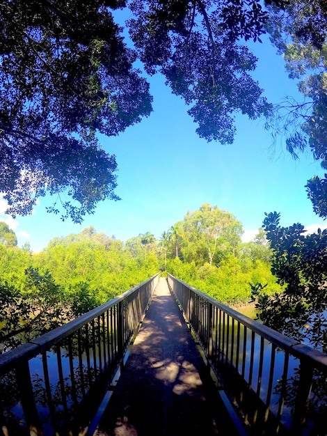 Foto ponte sobre o rio contra as árvores em um dia ensolarado