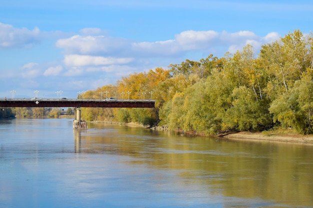 Ponte sobre o rio Folhas de outono em álbuns ao longo da margem do rio