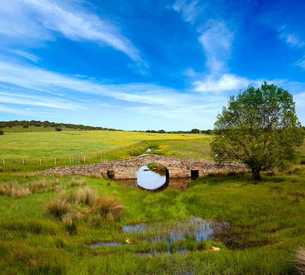 Ponte sobre o rio salor na via de la plata