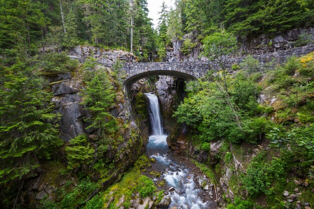 Ponte sobre uma cachoeira no Parque Nacional Mount Rainier, Washington, EUA