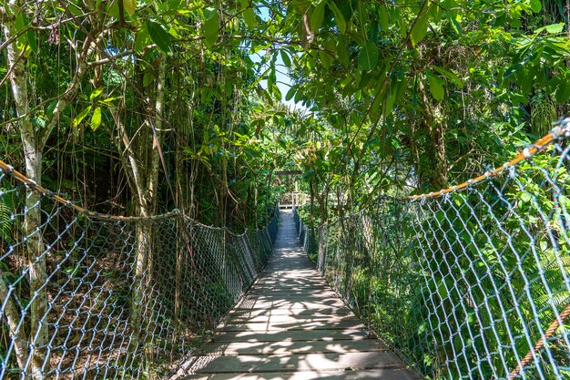 Ponte suspensa na selva perto dos terraços de arroz na ilha Bali Indonésia