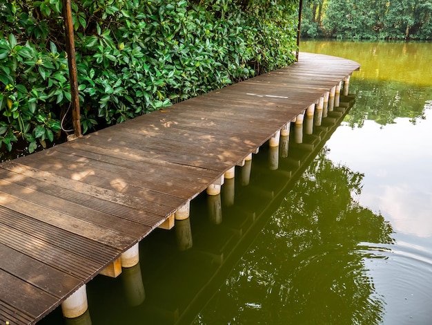 pontes estreitas no parque nacional de mangue são usadas como caminhos