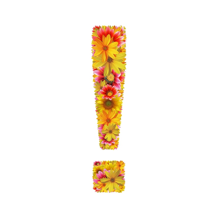 Foto ponto de exclamação de flores