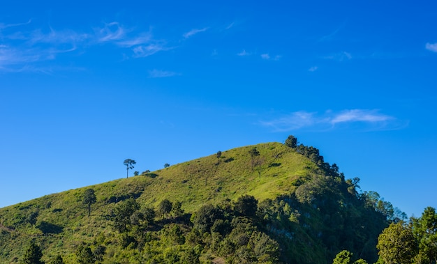 Ponto de vista de Doi Pha Tang, província de Chiang Rai em Tailândia. bela localização