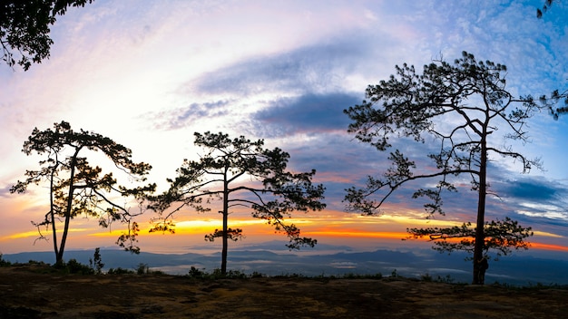 Ponto de vista no parque nacional da Tailândia