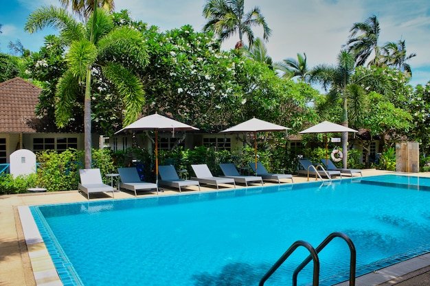 Pool mit blauem Wasser im tropischen Garten