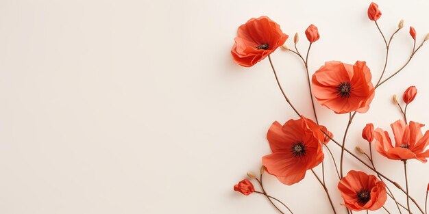 Poppy Day Gedenken an alle Soldaten, die in Kriegen mit generativer KI in Großbritannien ums Leben kamen