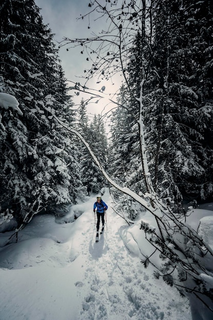 Poprad Eslovaquia1822021 Montañero esquí de travesía caminar esquí alpinista en las montañas Esquí de travesía en paisaje alpino con árboles nevados Aventura deporte de invierno
