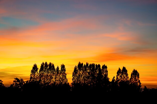 Pôr do sol a luz da noite através das nuvens e árvores.