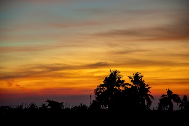 Pôr do sol a luz da noite através das nuvens e árvores.