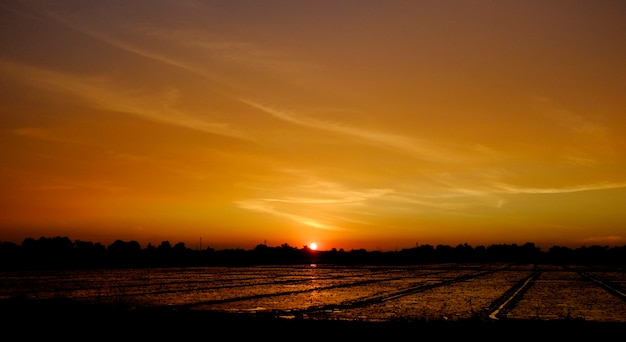 Pôr do sol à noite no campo