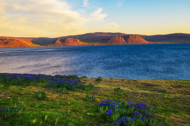 Pôr do sol acima da paisagem do fiorde perto de Patreksfjordur no Westfjords Islândia