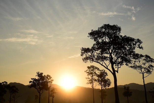 Foto pôr do sol amanhecer paisagem vibrante paisagem horizontal