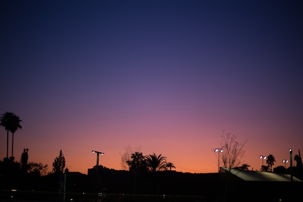 Pôr do sol amarelo-azulado com palmeiras em um fundo da cidade