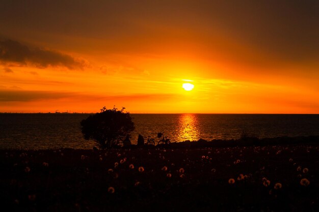 Por do sol bonito sobre o mar