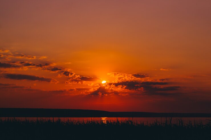 Pôr do sol brilhante do rio incrível no fundo da paisagem da natureza dos juncos.