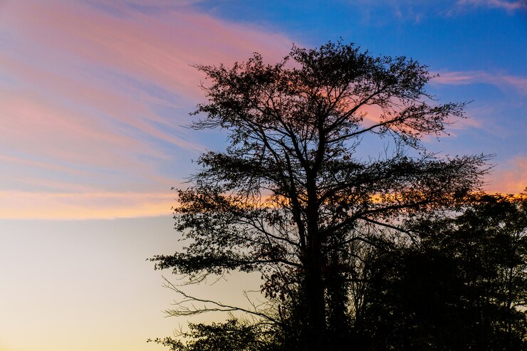 Foto pôr do sol colorido brilhante no mar com belas nuvens