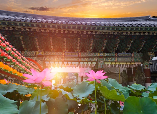 Pôr-do-sol com flor de lótus no templo jogyesa em seul, coreia do sul