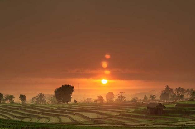 Pôr do sol com nuvens está chovendo nos terraços de arroz