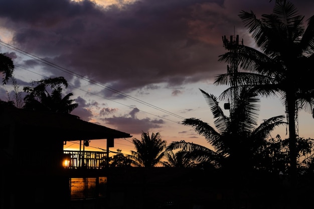 Pôr do sol com silhueta de palmeiras de cera em salento quindio colômbia